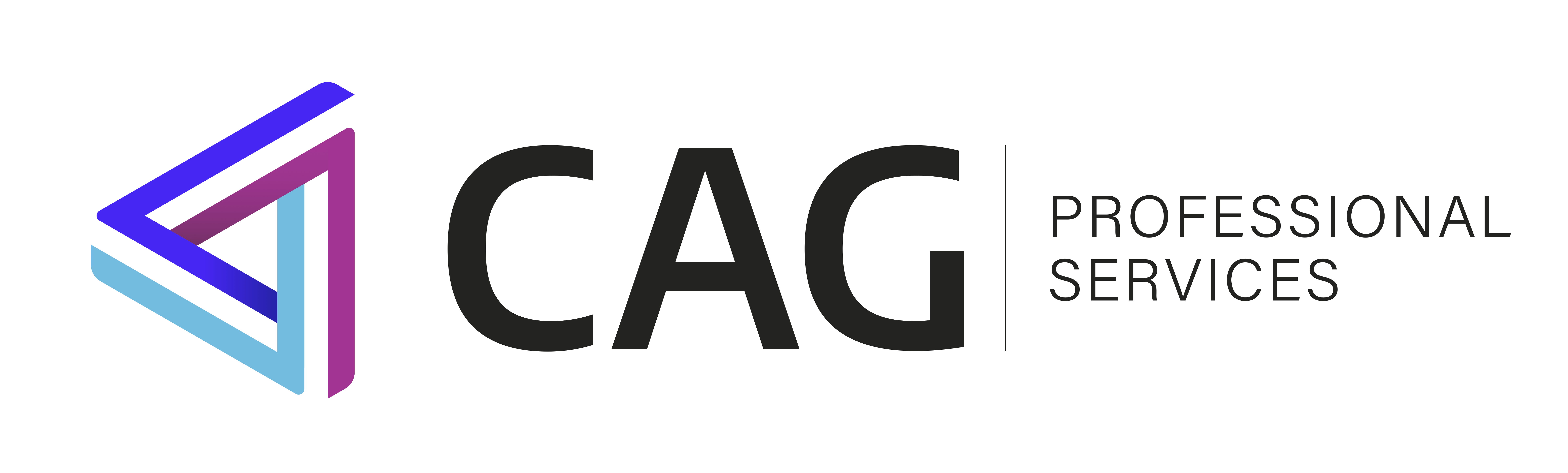 C. A. G. Professional Services
